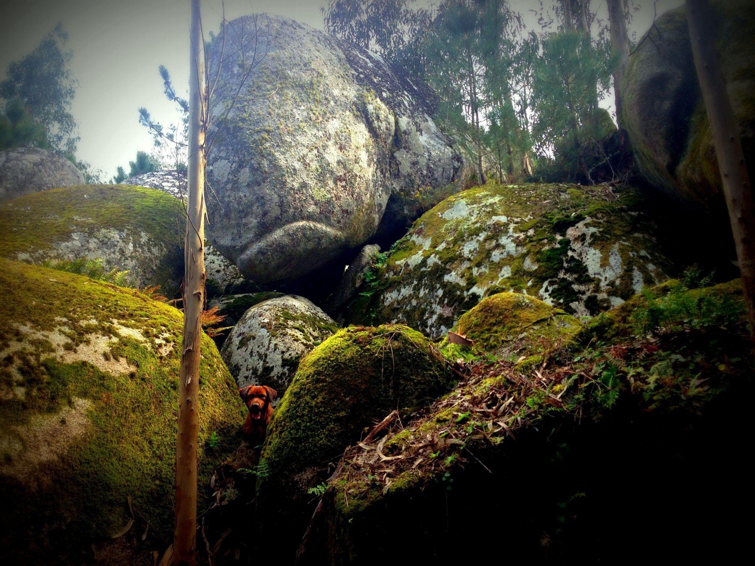 “Cons da Garda”, nuestro significado…