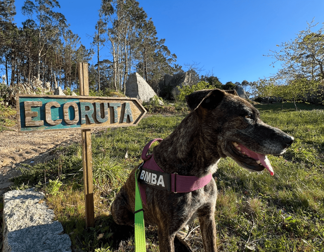 15. Zonas comunes (ecoruta)