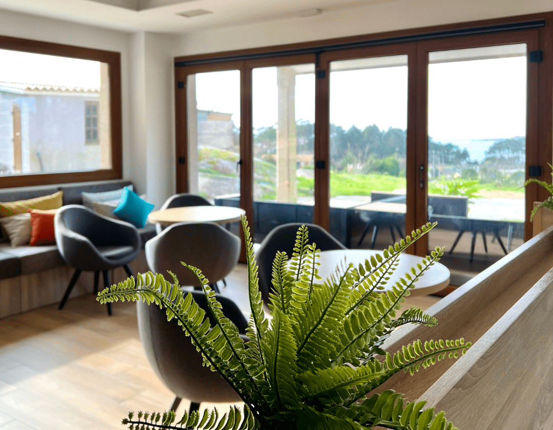 18. Zonas comunes (recepción)