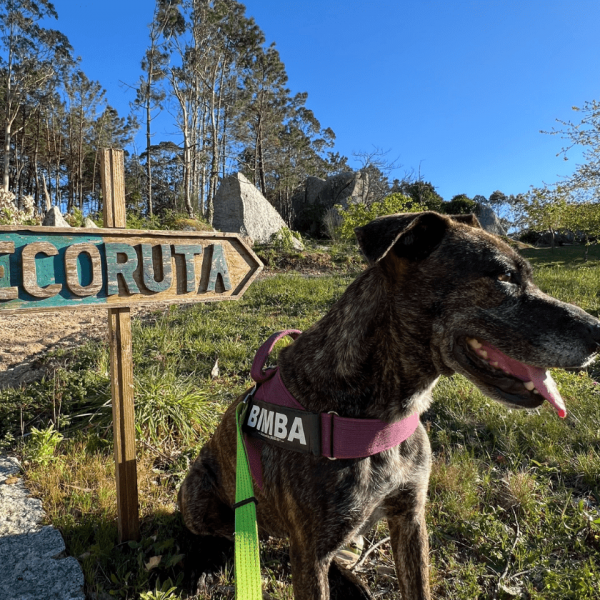 15. Zonas comunes (ecoruta)